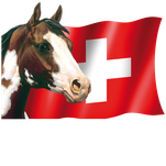 Swiss Paint Horse Association