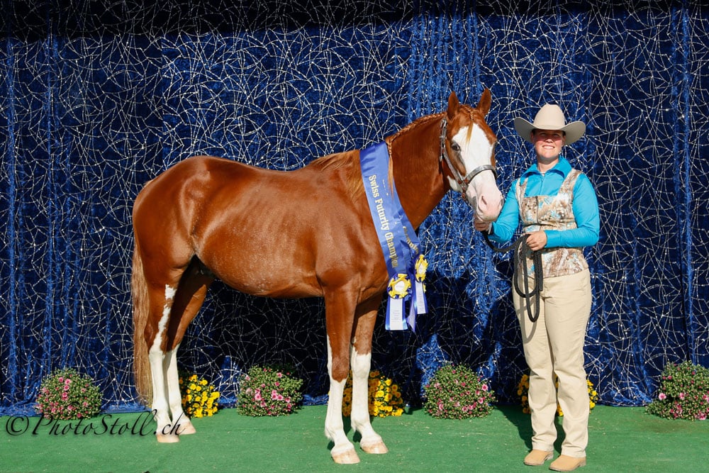 SPHA In Hand Trail, SPHA Longe Line und SPHA Three Year old Stallion Sonja Dürrenmatt