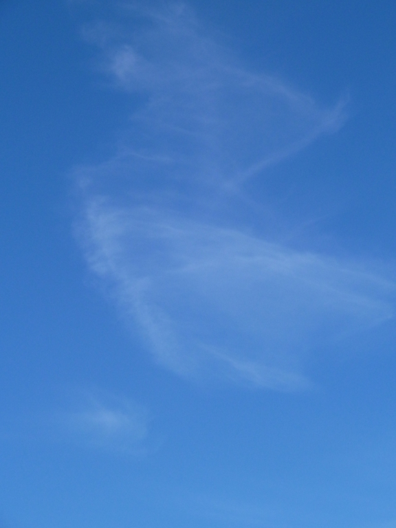 Cirrus fibratus