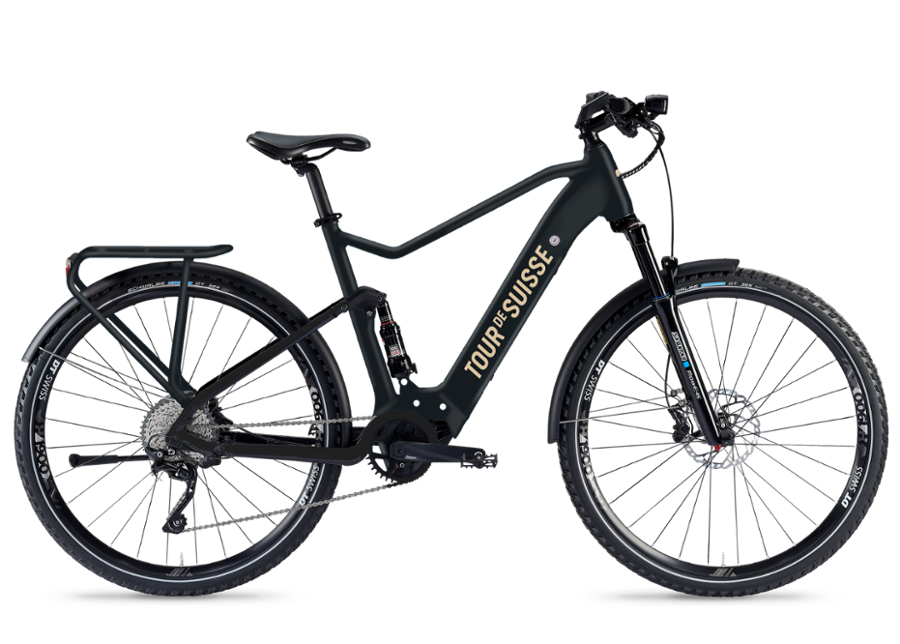 TDS Freigeist 25 km/h Bikestatt