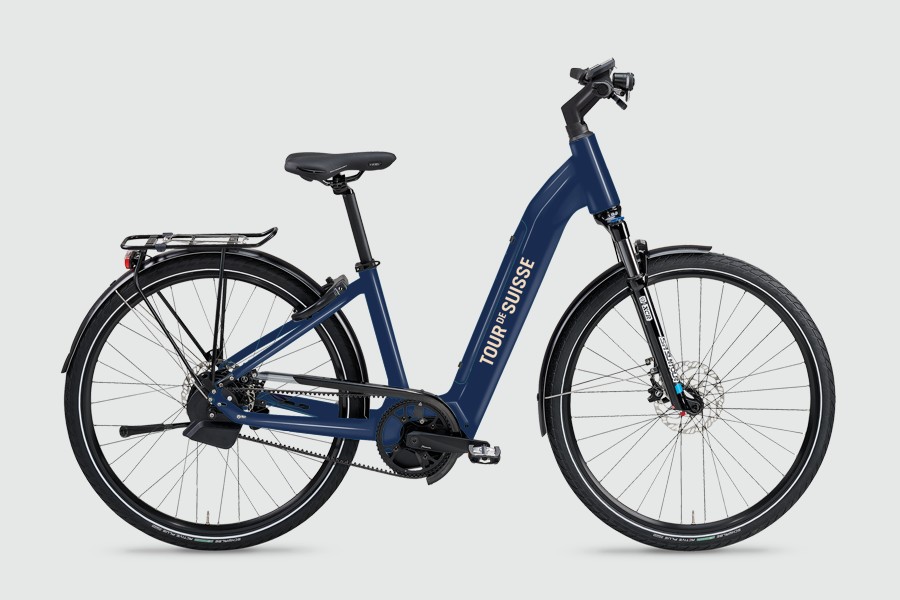 TDS Flair 25 km/h Bikestatt