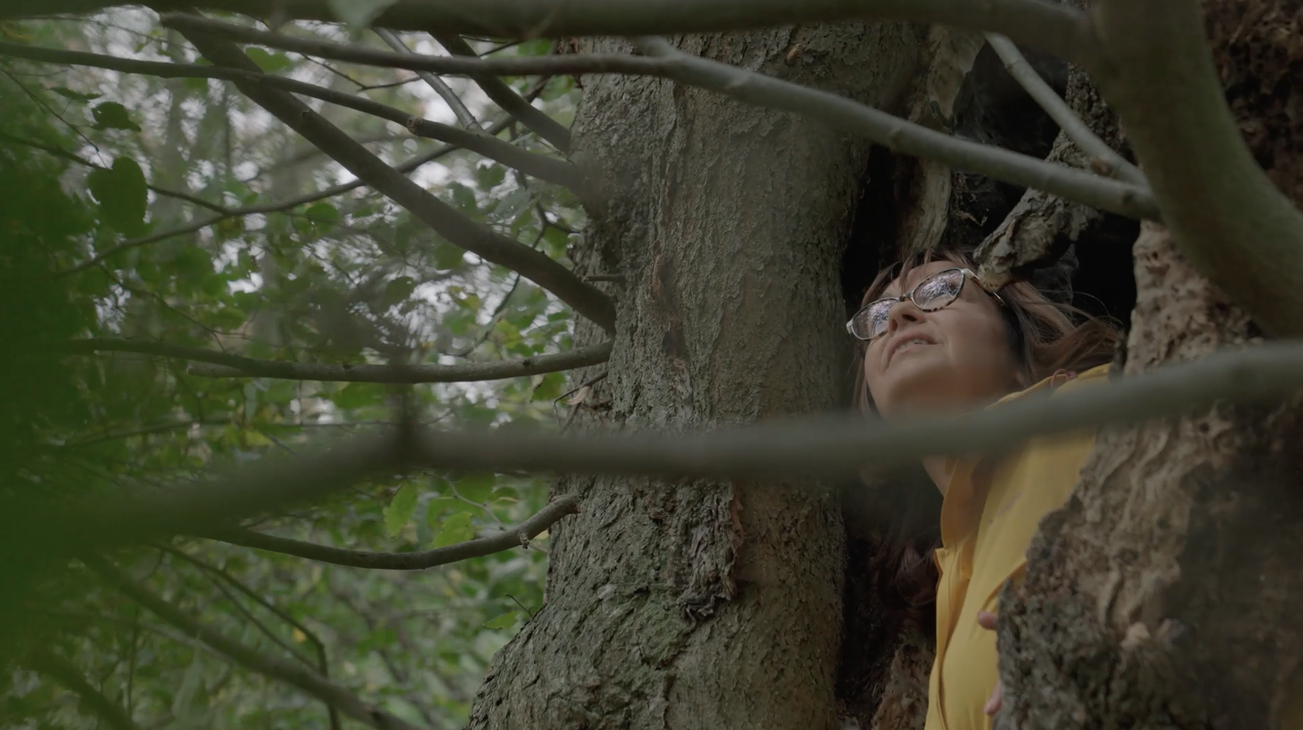 So geht Shinrin Yoku Waldbaden