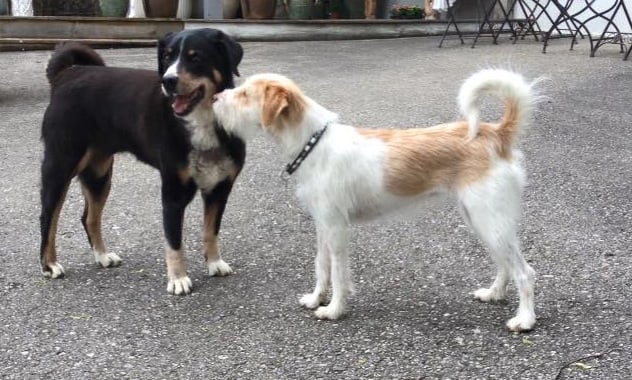 Schmuserunde mit ihrem Freund