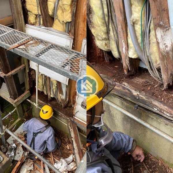 腐食箇所を取り除いて、土台を敷いて、柱を抱き合わせて、桁を掛けて、 つづく #週刊シティーボーイ