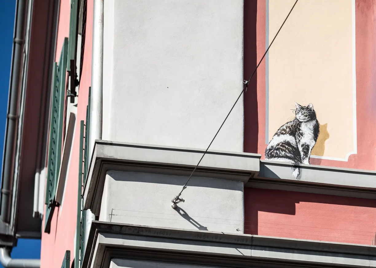 Stararchitektin als besorgte Katzenmutter