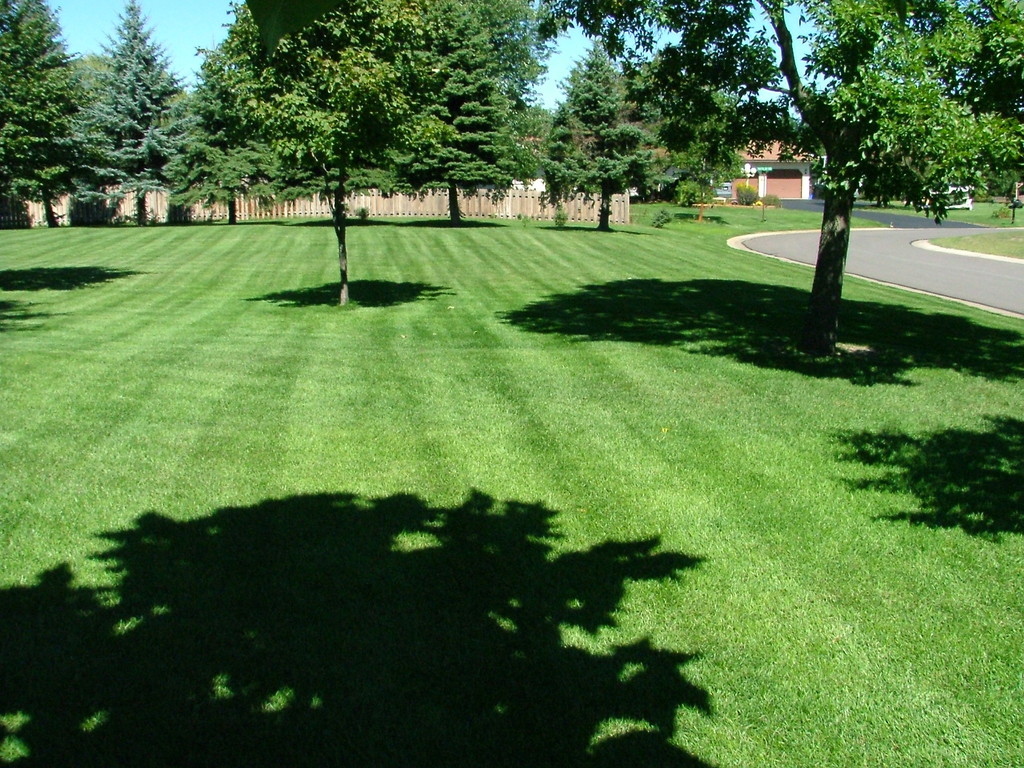 They can be controlled.