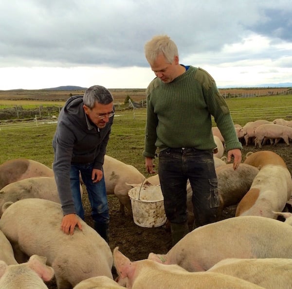 fjellgris valdres stølsvidda mat julegaver