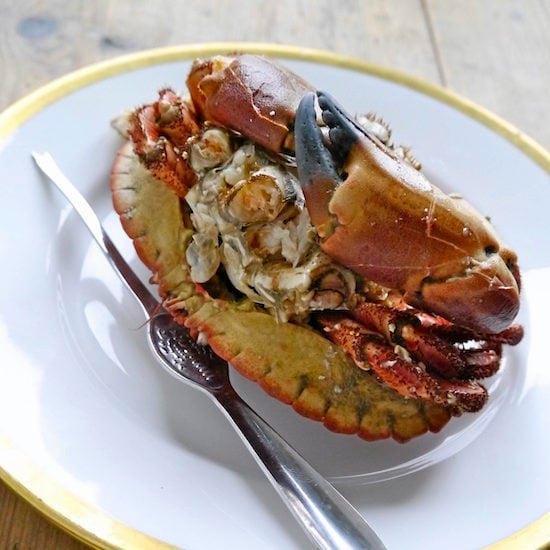 Mmm... Klassisk krabbe. Ser ju uskyldig ut, men følg med!