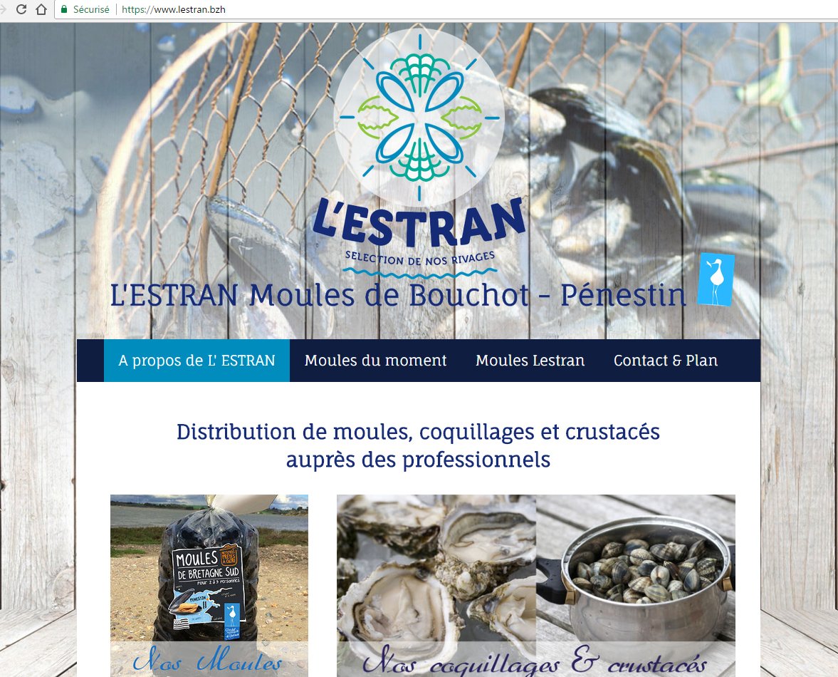 L'Estran moules de bouchots à Pénestin - webdesign & SEO