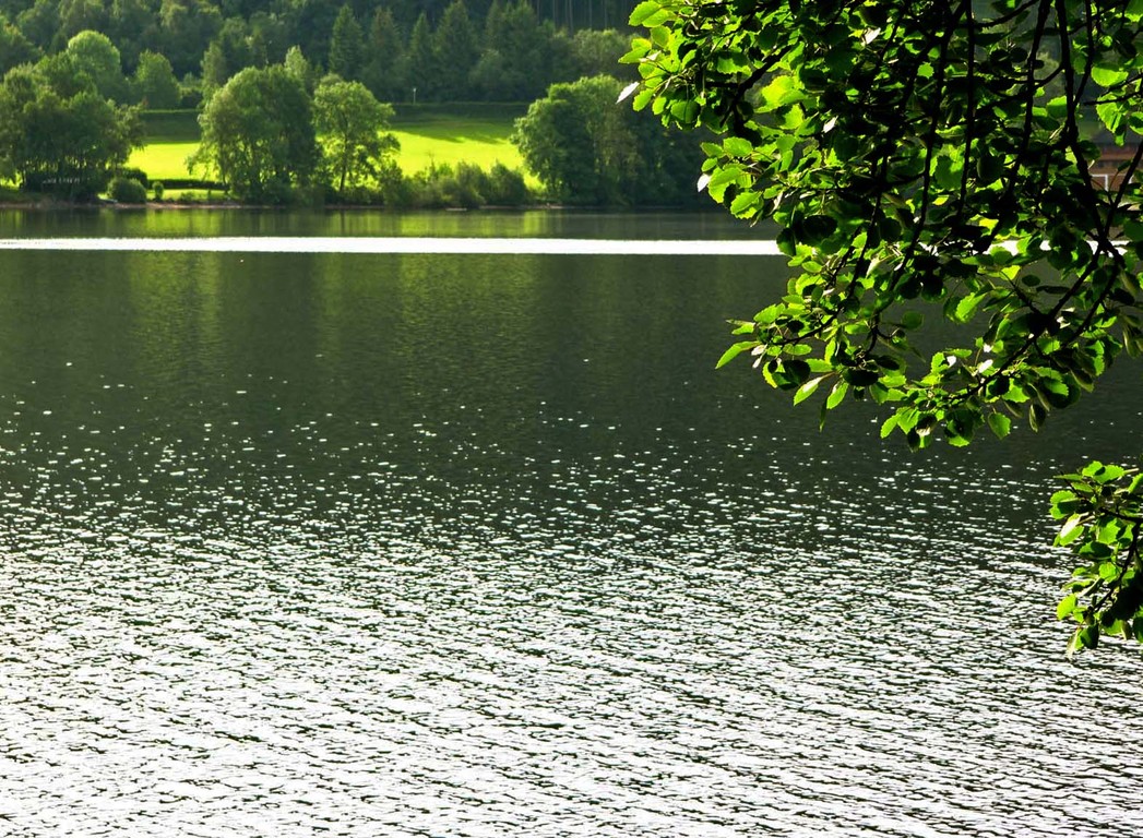 Morgenruhe am Titisee