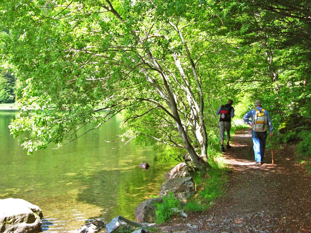 Der Rundweg um den Feldsee nehmen wir zusätzlich in unsere Tour mit auf.