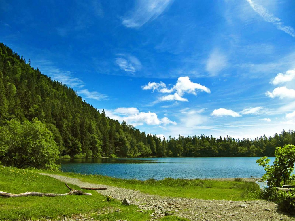 Im Feldsee gilt ein generelles Badeverbot. Es dient zum Schutz des stachelsporigen Brachsenkrauts (Unterwasserfarn), der in 1-2 m Tiefe gedeiht.