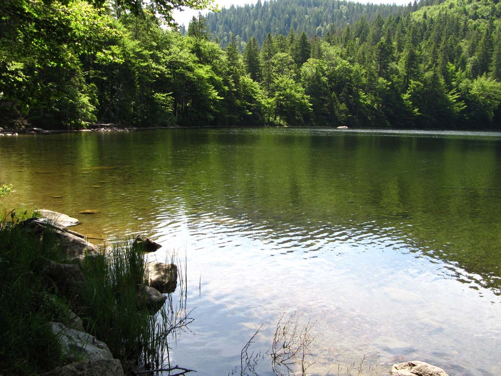 Den Feldsee durchfließt der Seebach, der zwischen Feldberg und Seebuck im Grüble entspringt, im Feldseewasserfall die Karwand hinunterstürzt und später, jenseits des Titisees, den Namen Gutach führt.
