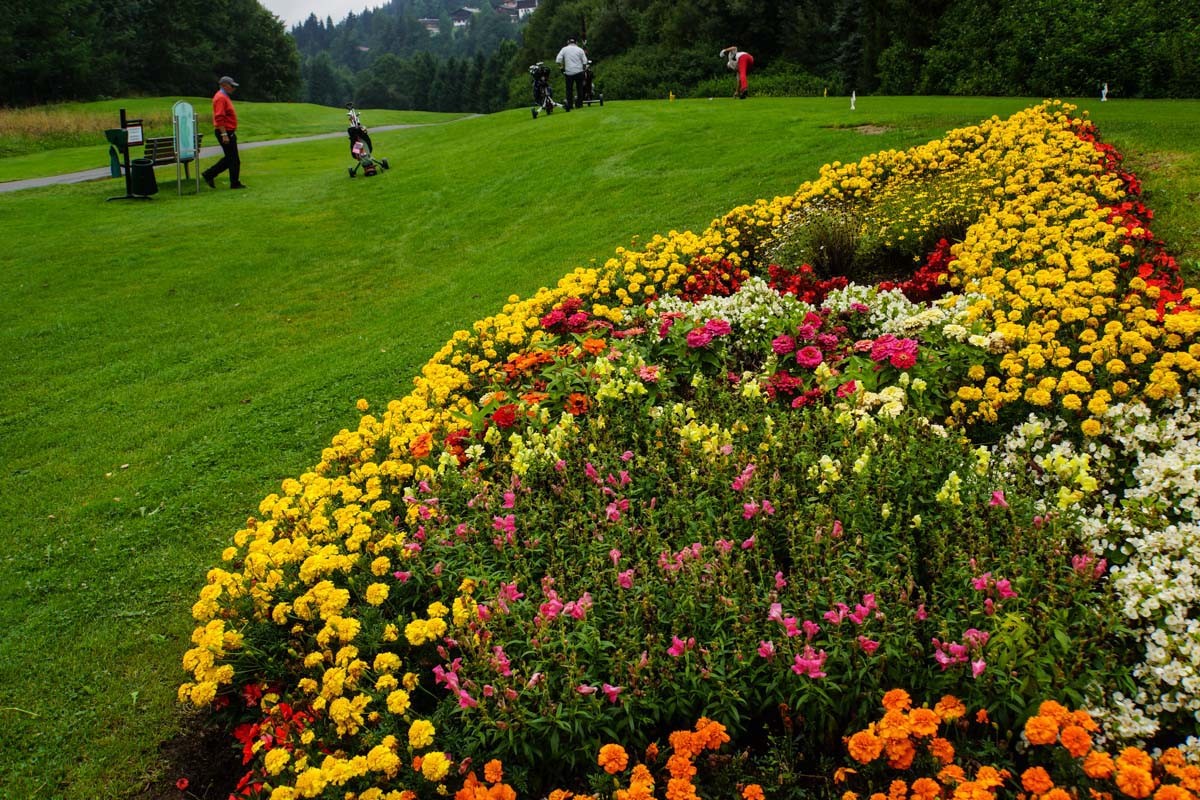 GC Schwarzsee - perfekte Anlage.