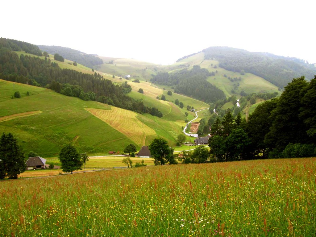 Kurz vor dem Etappenziel. Im Tal liegen Ober- und Unter-Neuhof.