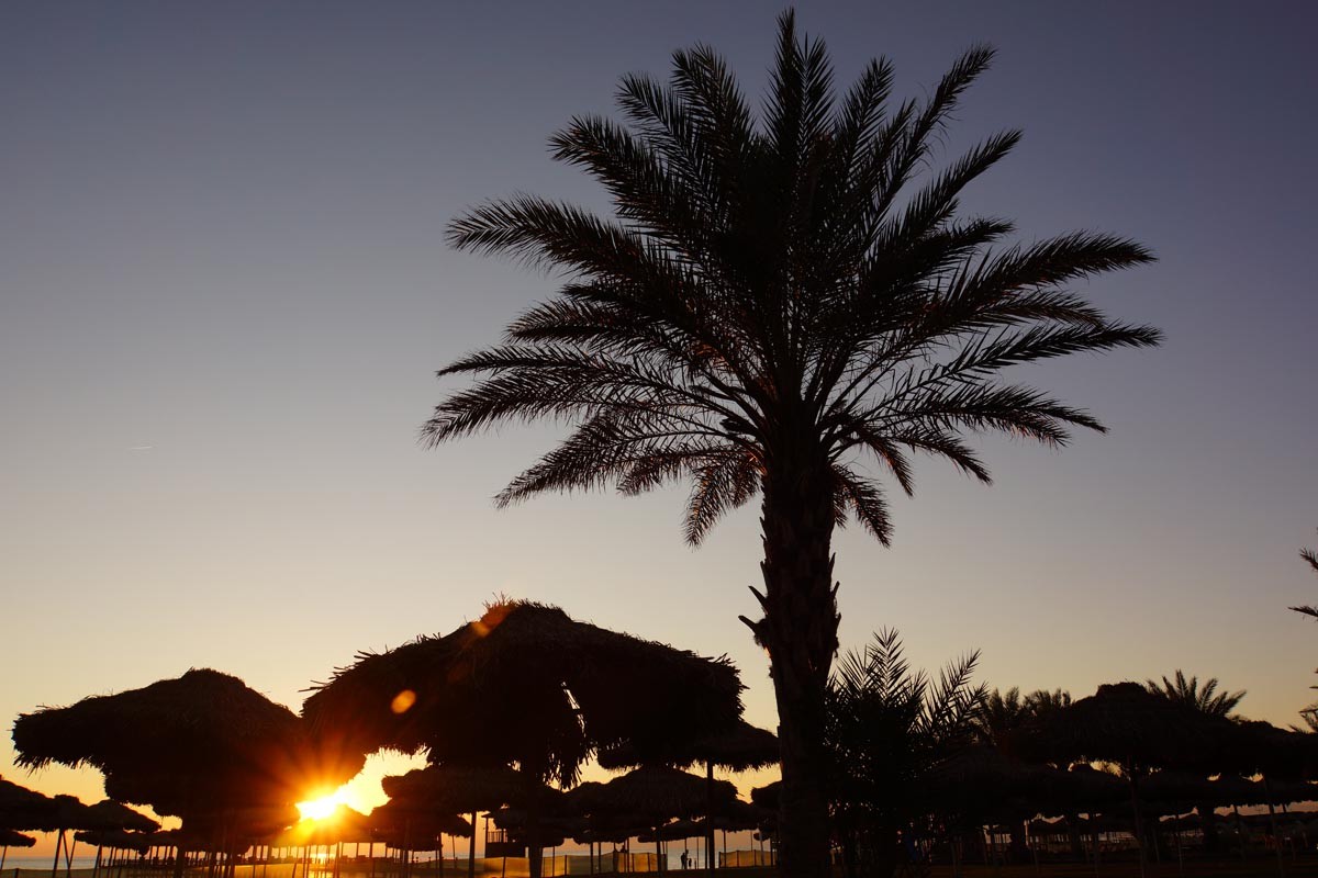 Maxx Royal Sundowner