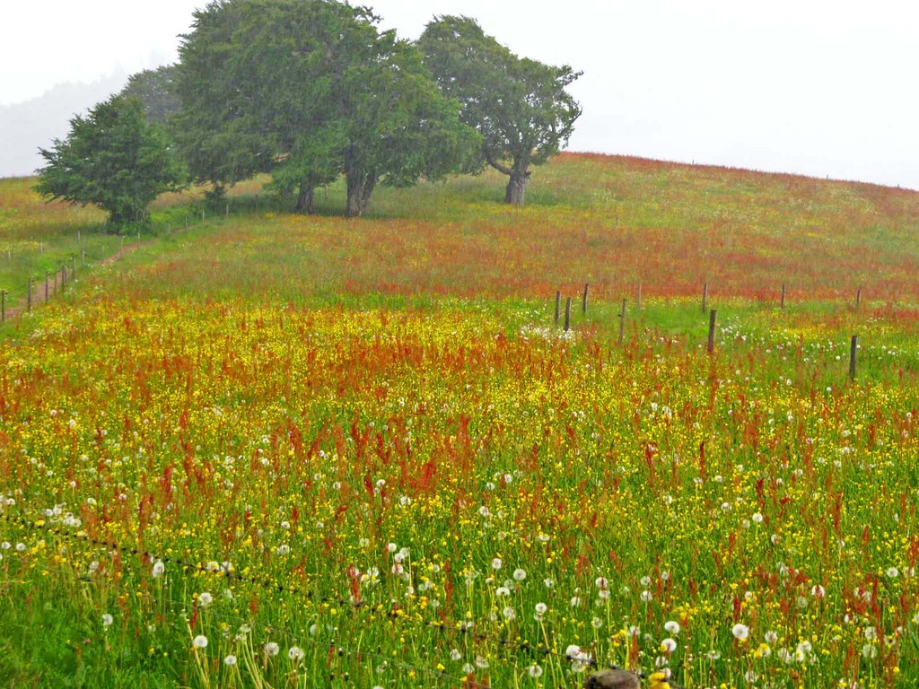 Mit den Formen und Farben fühlt man sich an die Toscana erinnert.