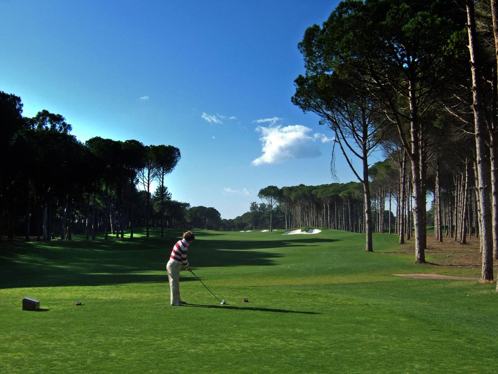 Carya, Tee 6