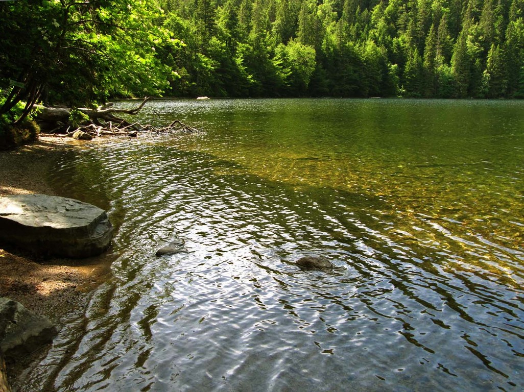Eiskalt und glasklar: das Wasser im Feldsee.