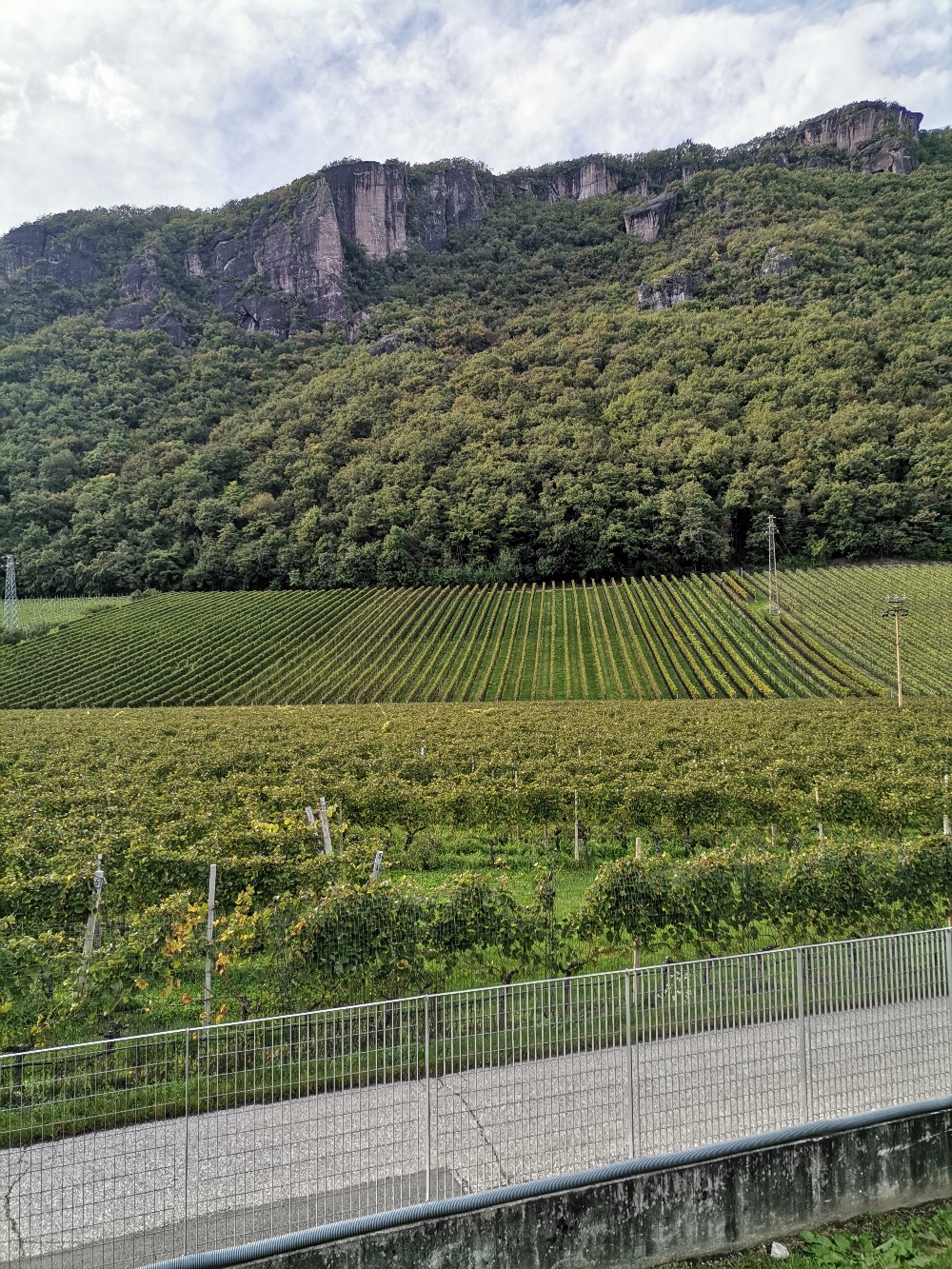 Vorbei an der fruchtbaren Landschaft Südtirols