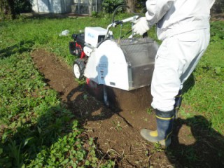雑草の除去