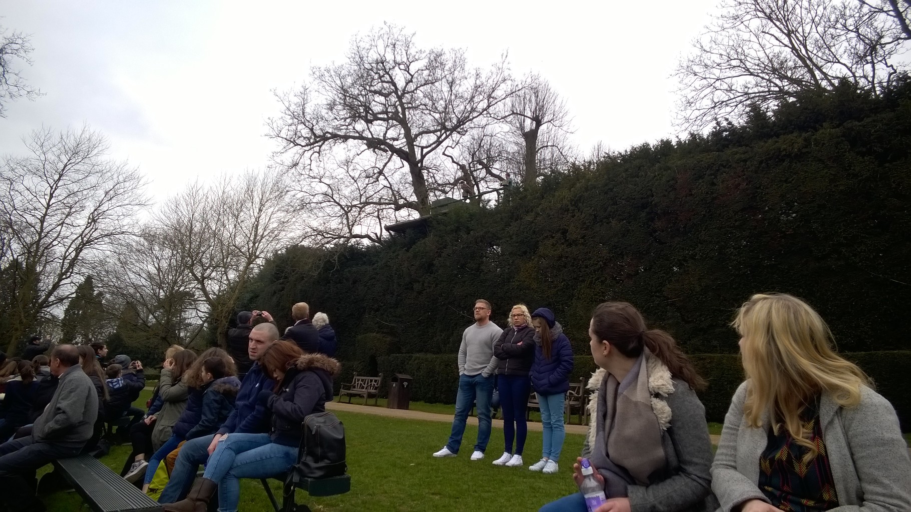 If you look up on the wall in the middle of the pic you can see him sitting close to his handler.