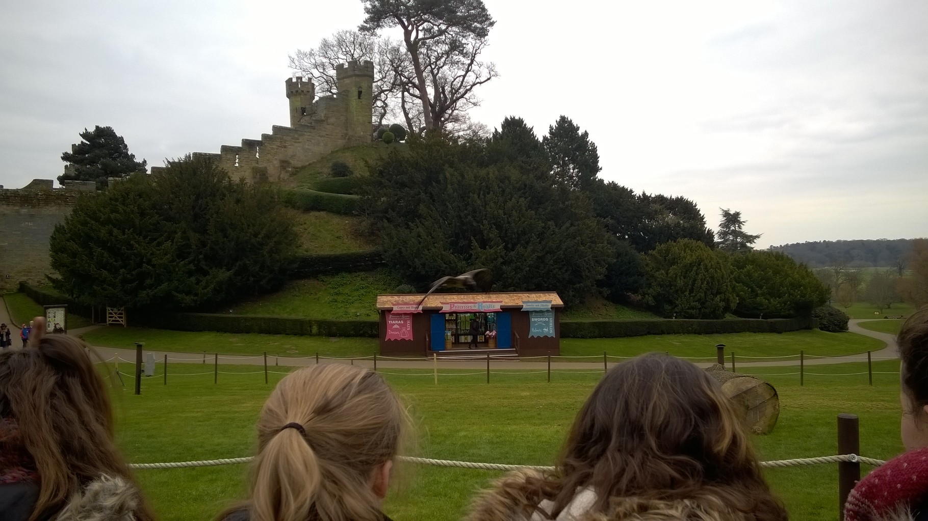 The huge Black vulture that had to stay up to stay aloft.