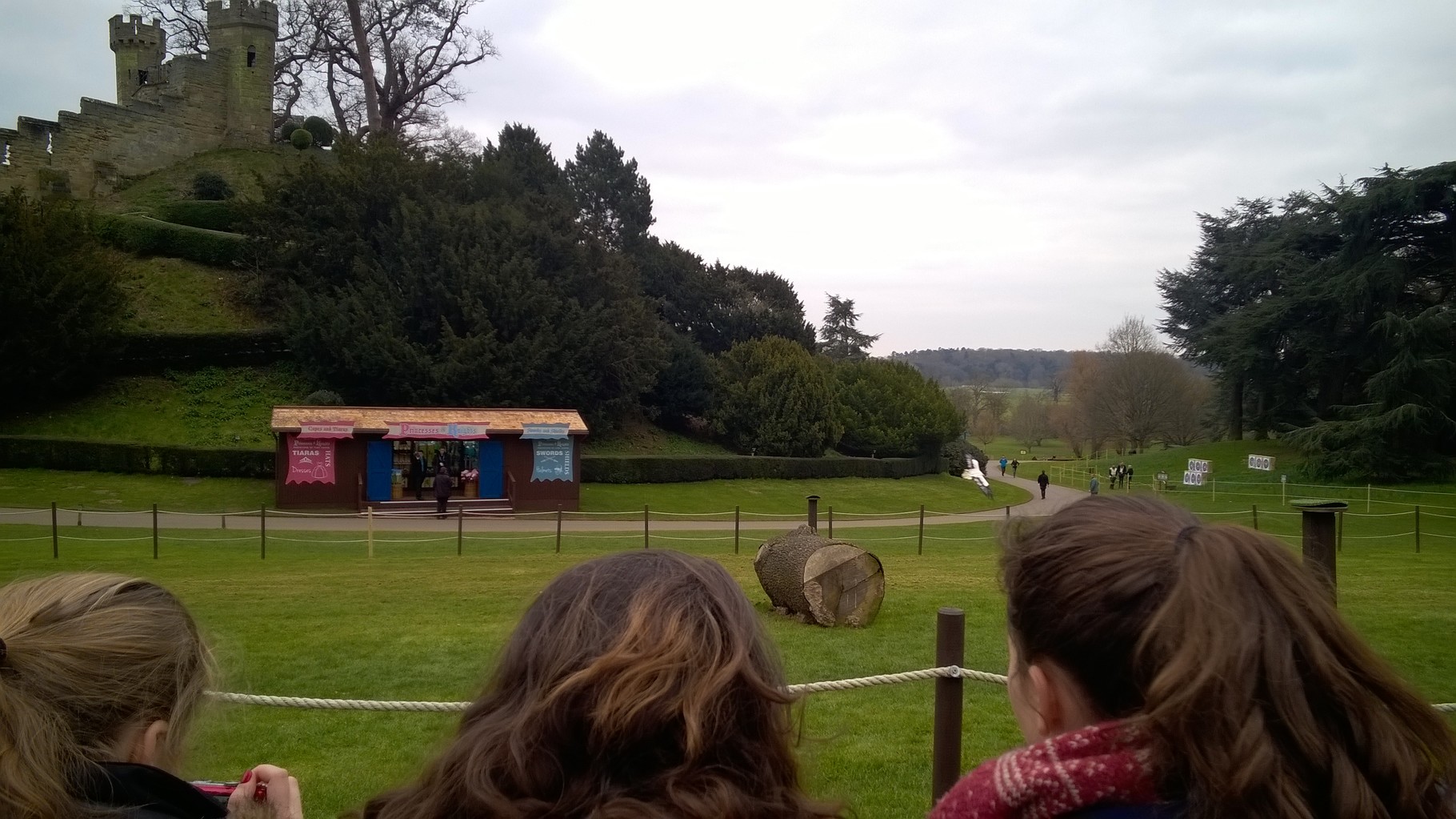 Dyson is a Griffon vulture from Africa