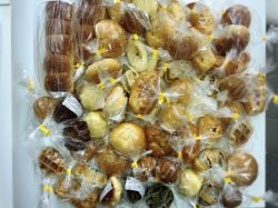 お祭りですねワッショイワッショイ