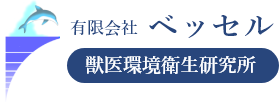 有限会社 ベッセル
