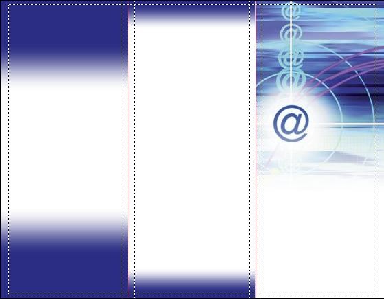 25 Brochures con riferimento all'informatica(punti 70)