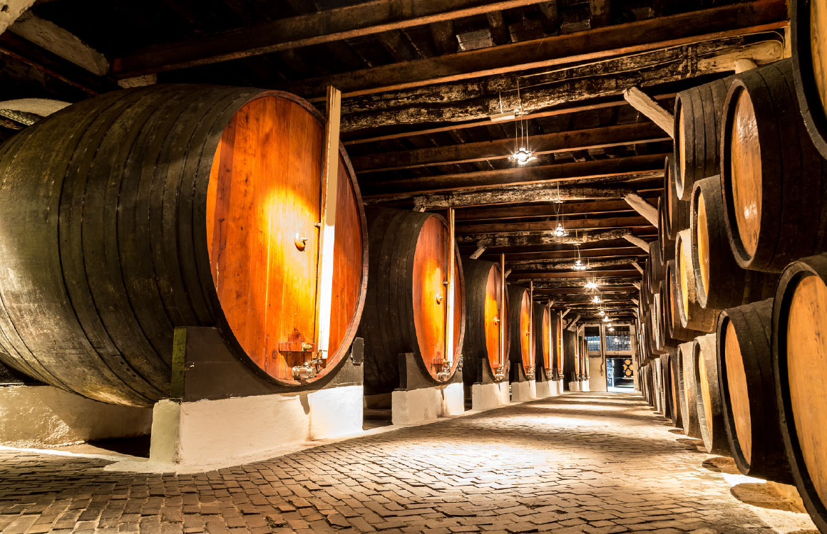 Visitare una cantina di Porto