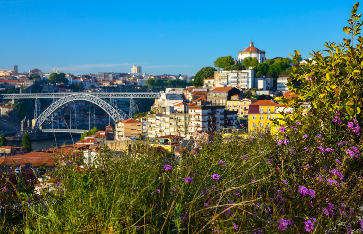 yeatman-hotel-restaurant-bar-view