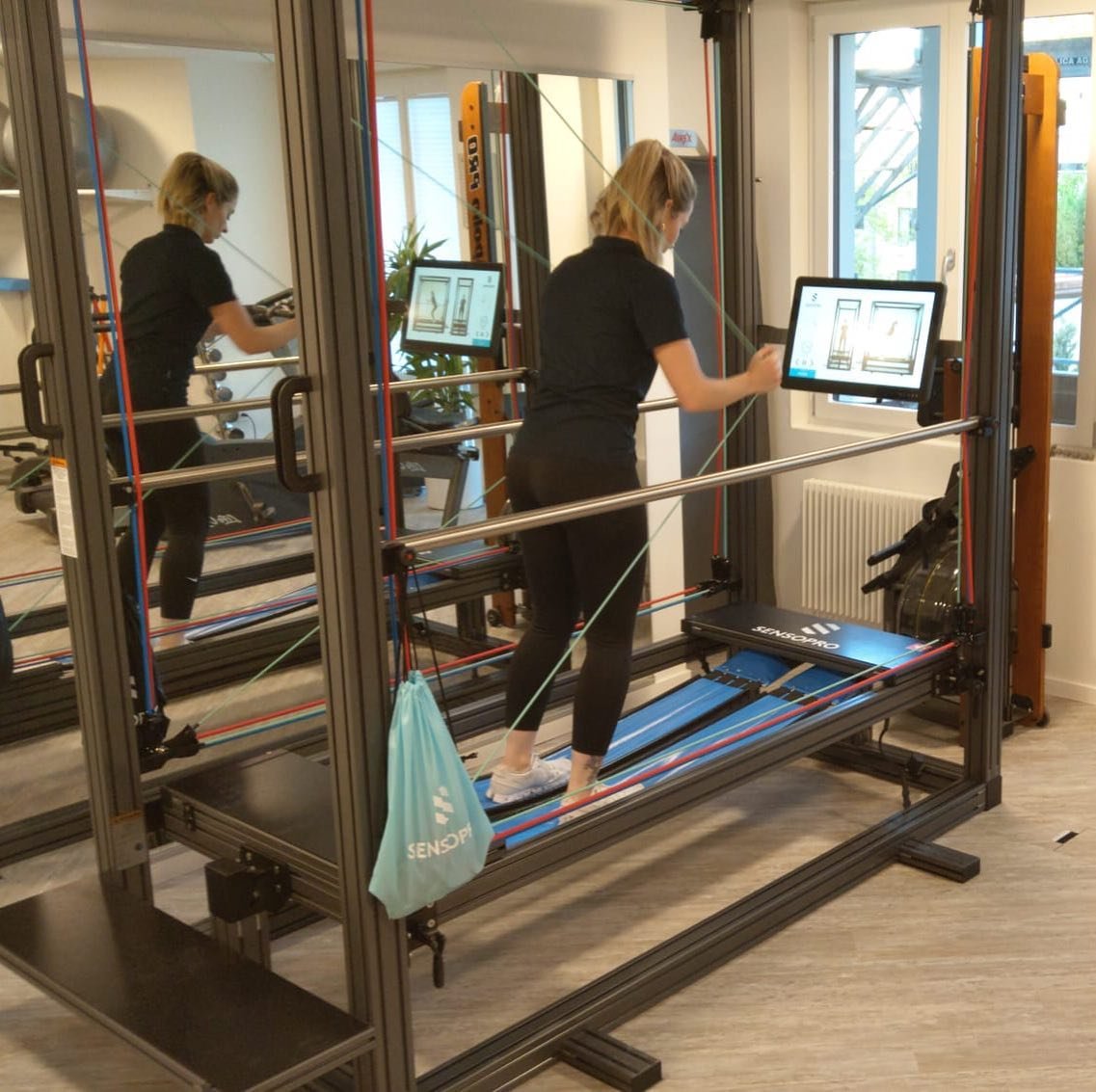 SensoPro Training in Basel