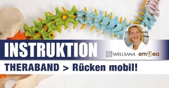Rücken mobil Theraband