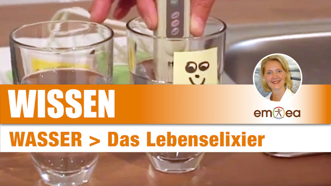 Wasser als Lebenselixier