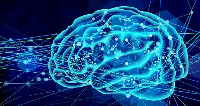 脳の可能性を開くマインドマップ