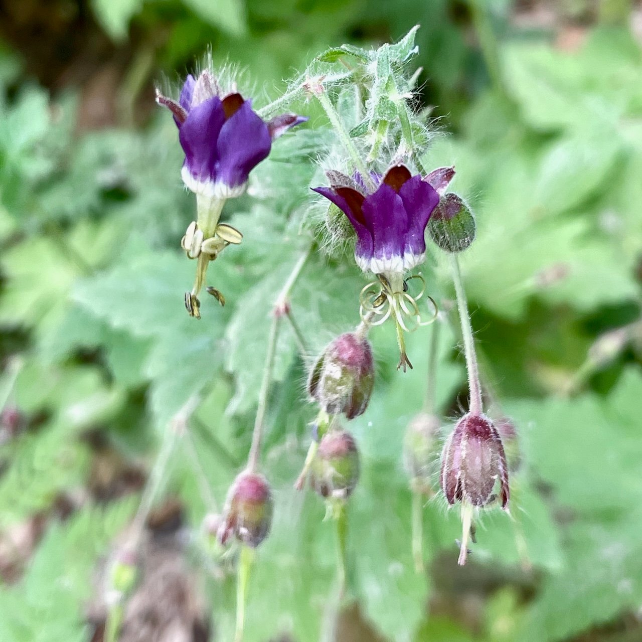 Mit Systematik im Ausland erfolgreich