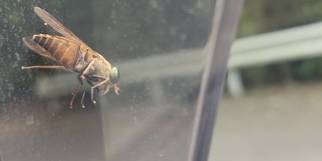 弾丸日帰りツアー2024 Part2