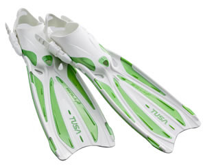 フィン(定価￥18,000+税)