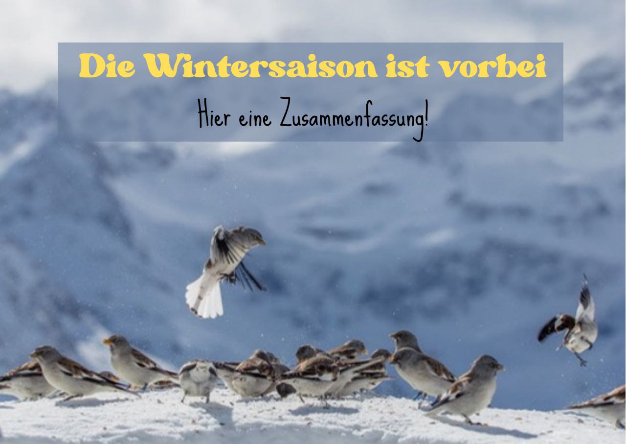 Zusammenfassung Winterarbeit (neuer Insta Beitrag)