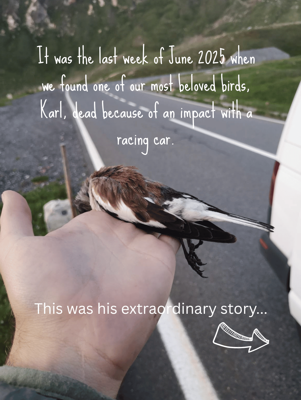 Die Geschichte von Karl