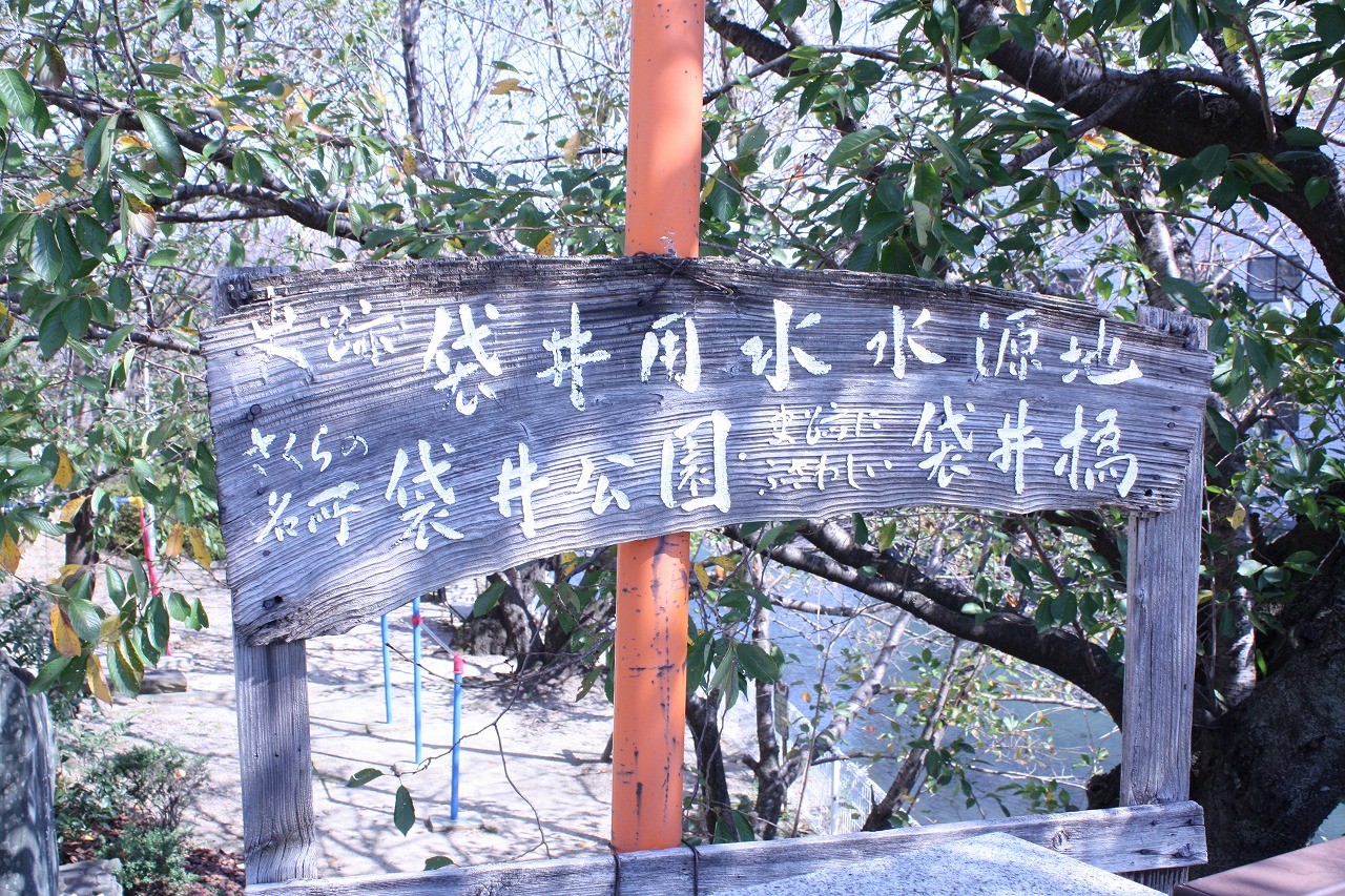 袋井用水水源地にある袋井公園は桜の名所です。