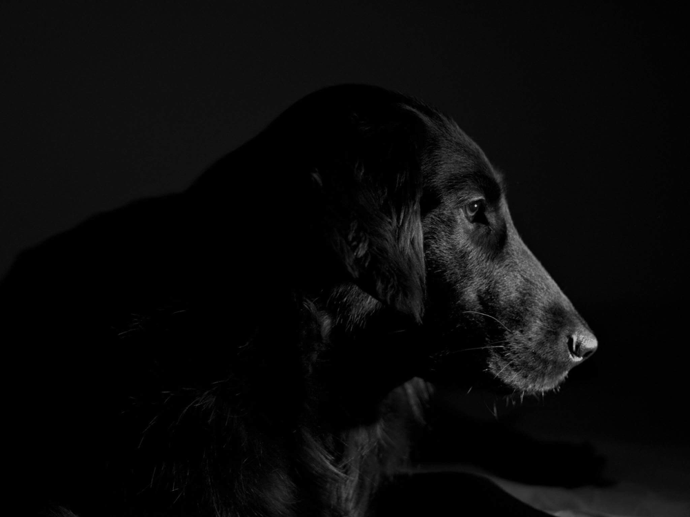 Sanibelbreeze Captiva "Cappy" Foto : Piret Lensch 