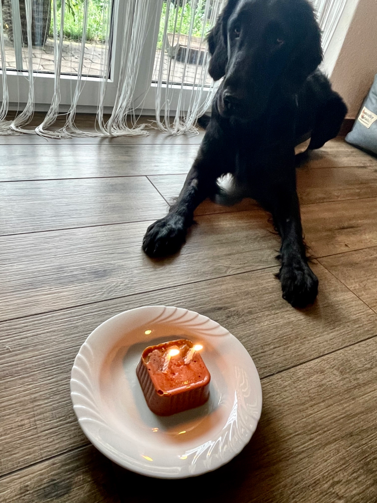 JIMA mit ihrem Geburtstagskuchen