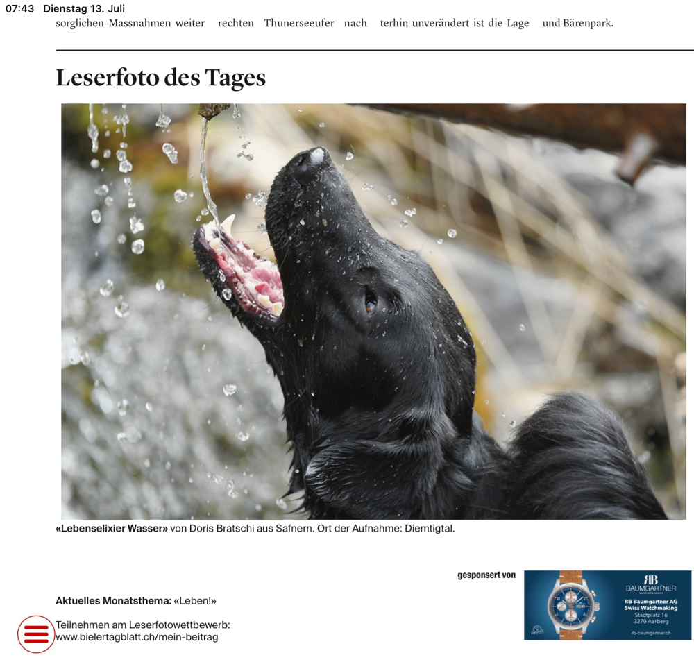 Paige gross im Bieler Tagblatt - es hat wieder mal für den Tagessieg gereicht 🙌🏼💪🏼😍