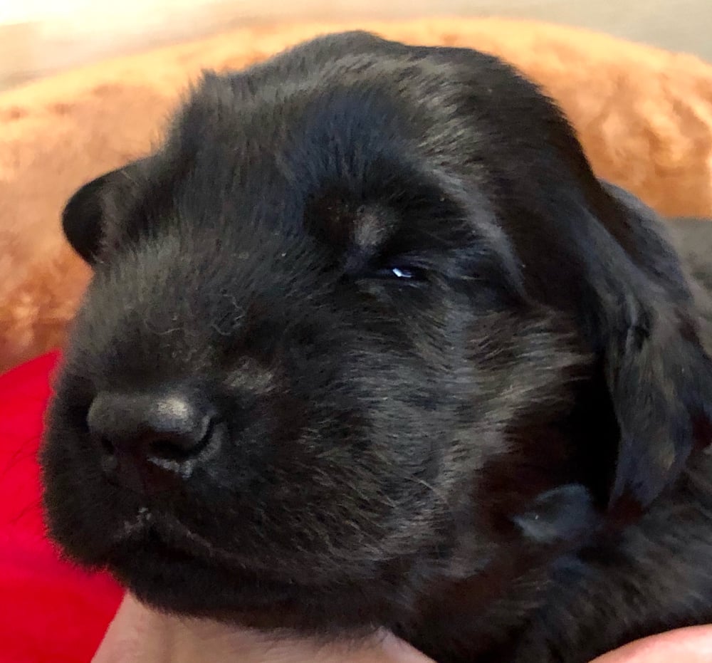 Hallo nun kann ich auch sehen 