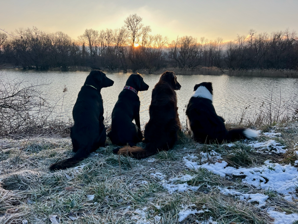 Warten auf den Sonnenaufgang 