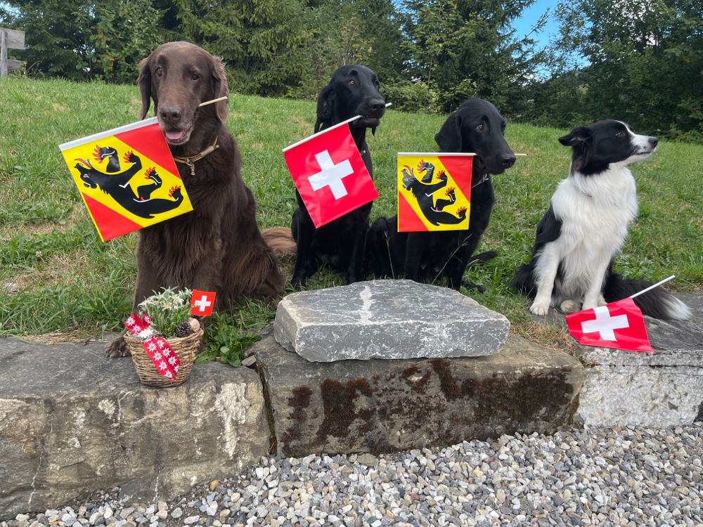 BROWNIE. JIMA PAIGE. JOY