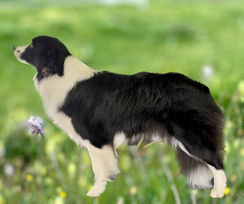 Joy knapp 2 Jahre alt